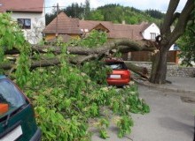 Kwikfynd Tree Cutting Services
jarviscreek
